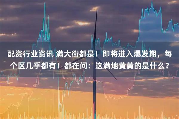 配资行业资讯 满大街都是！即将进入爆发期，每个区几乎都有！都在问：这满地黄黄的是什么？